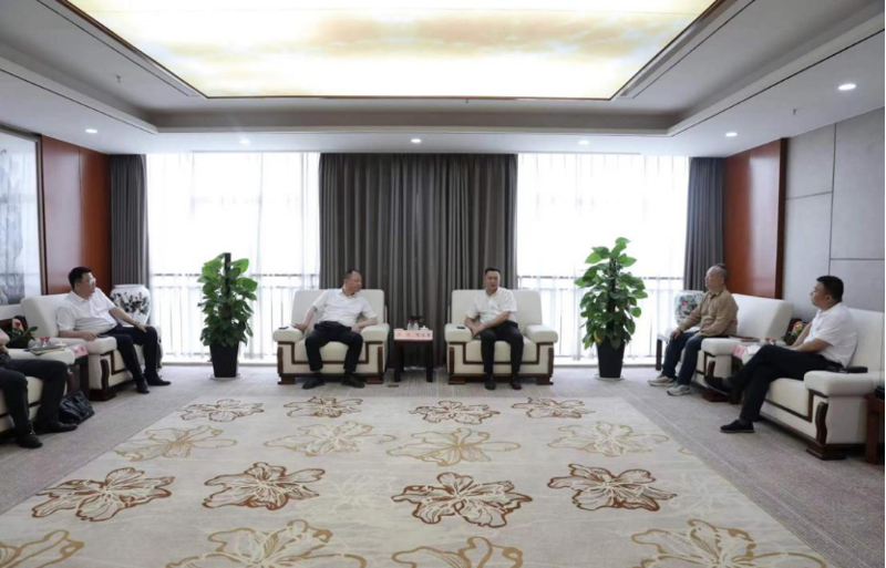 周鴻與湖南輕鹽集團黨委副書記、副董事長、總經理李志勇舉行會談