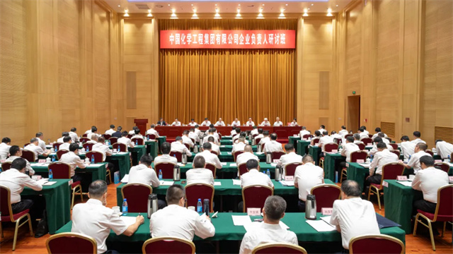 中國化學(xué)舉辦2025年企業(yè)負(fù)責(zé)人研討班